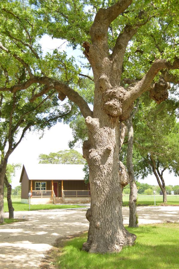 Vineyard Trail Cottages- Adults Only フレデリックスバーグ 部屋 写真